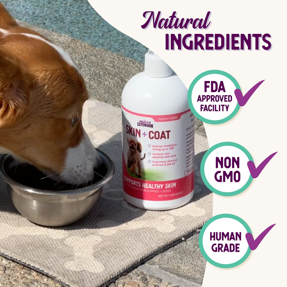 Health Extension Skin et Coat: peau plus douce grâce au supplément naturel.