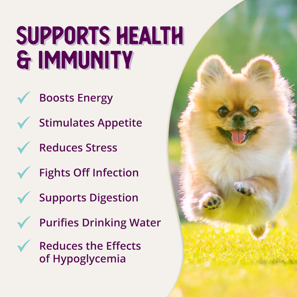 Health Extension Stress Relief - solution complète pour la santé du chien.