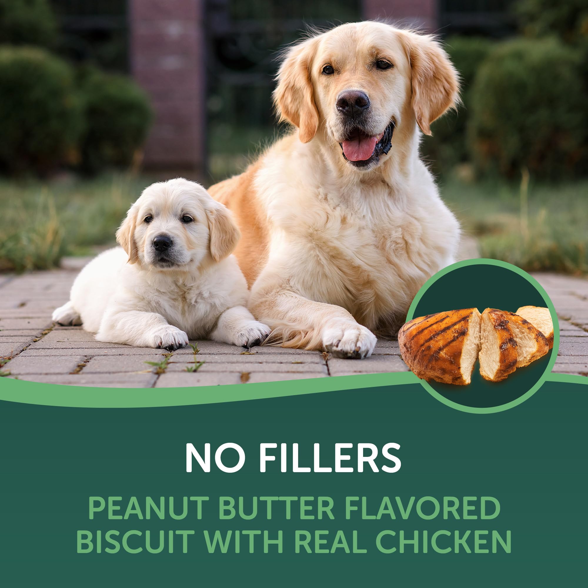Healthfuls biscuits muscle chien poulet cacahuete, soutien potentiel à la tonicité musculaire lors des jeux.