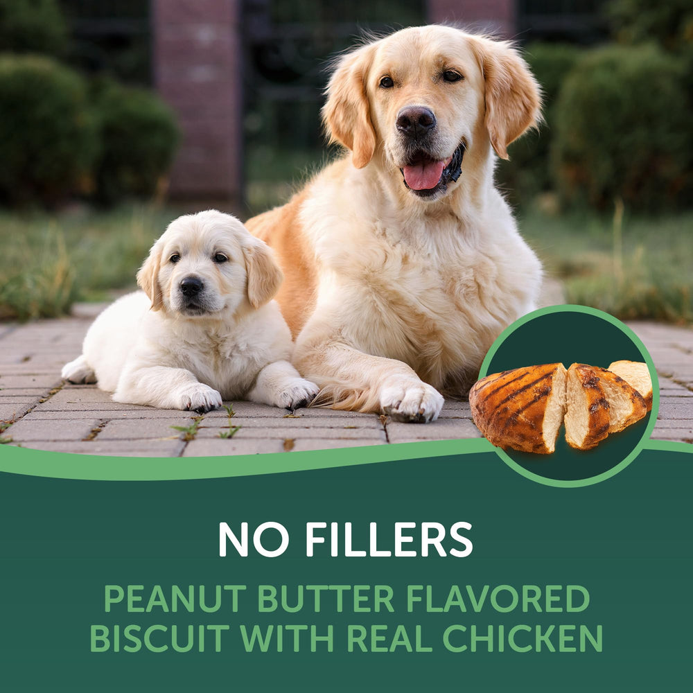 Healthfuls biscuits muscle chien poulet cacahuete, soutien potentiel à la tonicité musculaire lors des jeux.