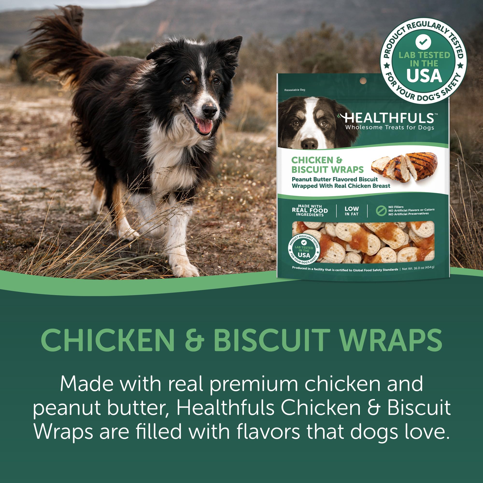 Healthfuls biscuits proteines chien poulet cacahuete, apporte protéines pour soutenir le tonus du chien.