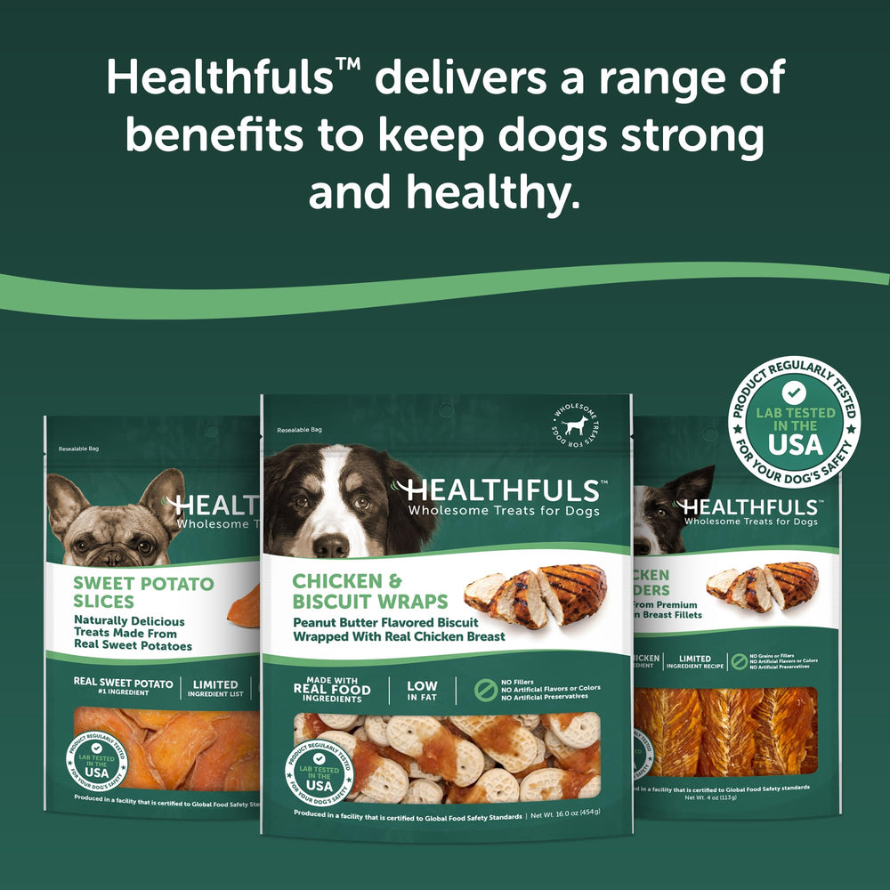 Healthfuls biscuits sante chien poulet cacahuete, snack sain pour chien actif et heureux.