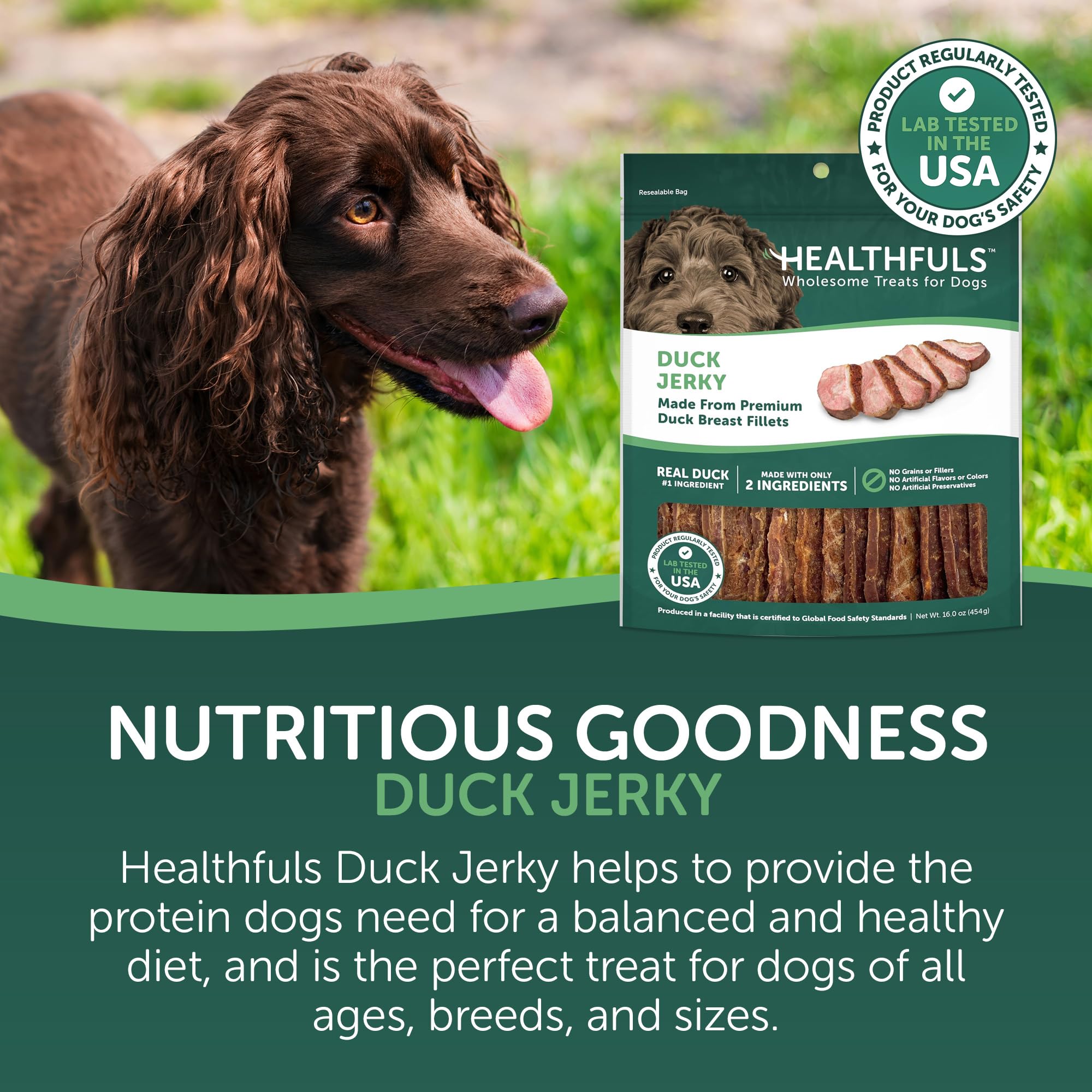 HEALTHFULS Canard poitrine – tranches savoureuses pour récompenser votre chien.