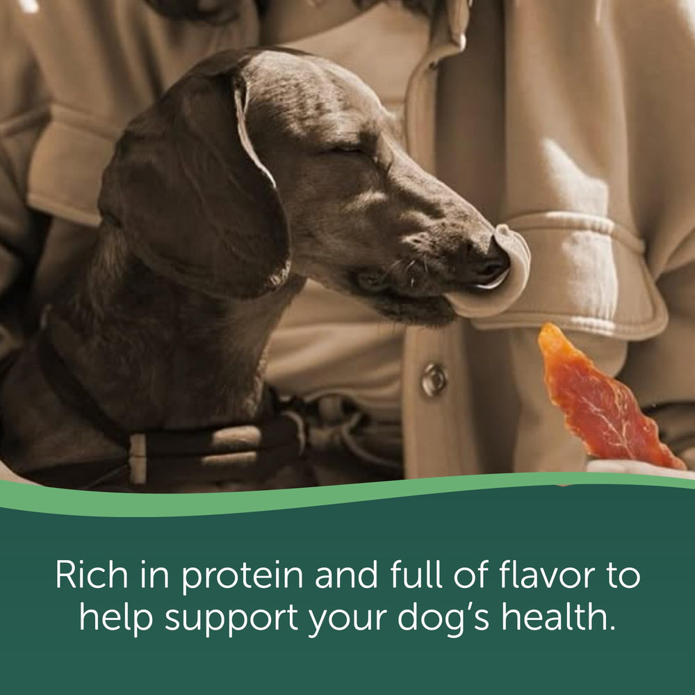 Ingrédients Healthfuls sans additifs artificiels pour chien exigeant.