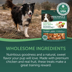 Healthfuls chien reniflant friandise poulet-fruits, récompense appetissante
