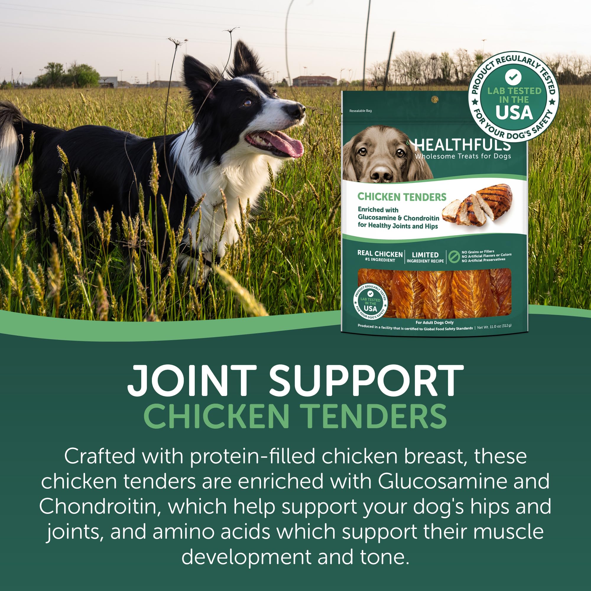 Healthfuls Tendres Poulet Odeur Appetissante, goût naturel