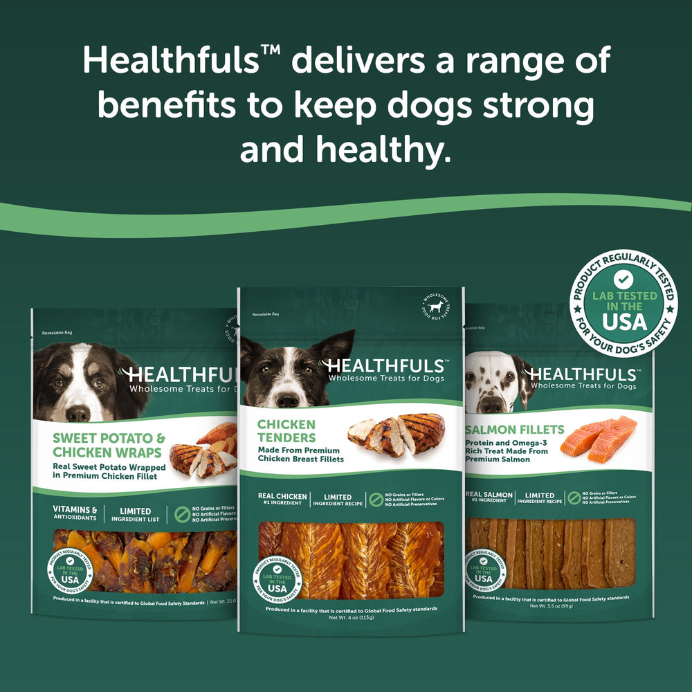 Healthfuls Tendres Poulet Sans Colorants Artificiels