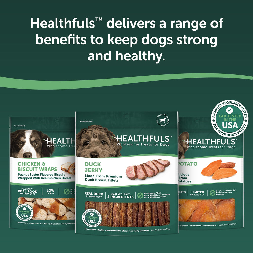 HEALTHFULS Adapté à tous les chiens – convient à toutes tailles et âges.