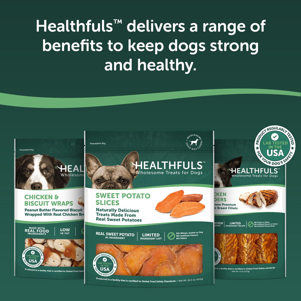Healthfuls tranches patates douces snack exterieur : snack savoureux lors des sorties