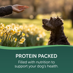 HEALTHFULS Westminster Wag Tails Jerky : sans additifs pour alimentation simple.