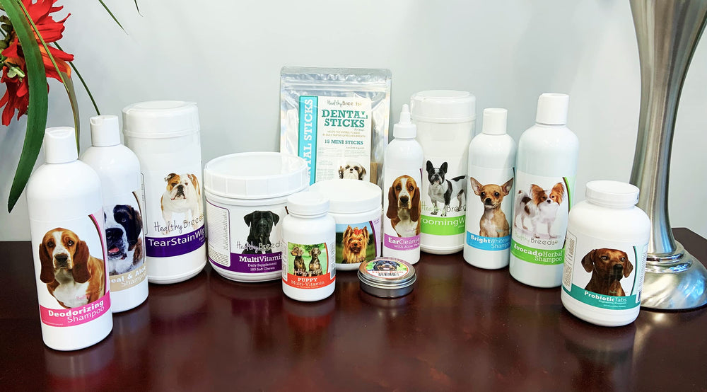 Healthy Breeds Shampoing avoine Aloe Pomeranian – mousse légère pour pelage sain.