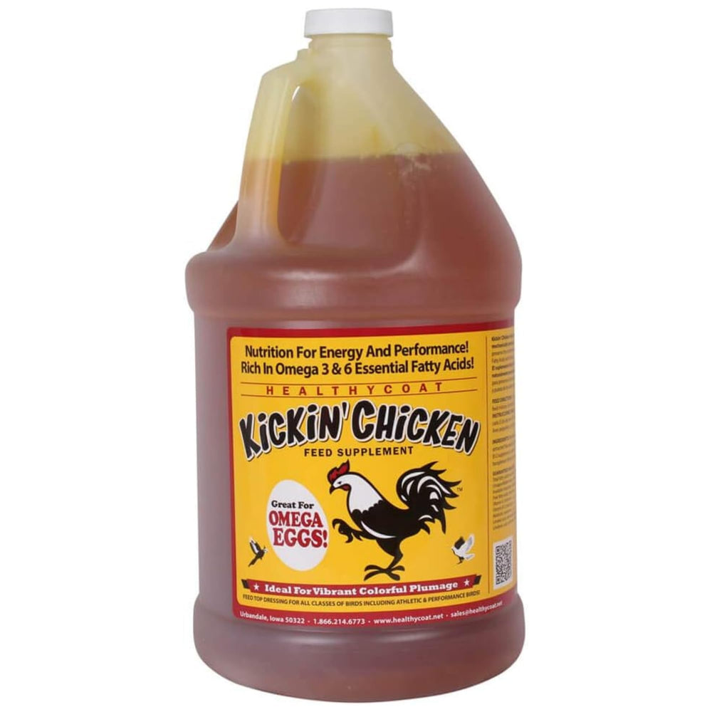Healthy Coat Kickin' Chicken Feed Supplement - Bouteille visible pour un apport nutritionnel potentiel.