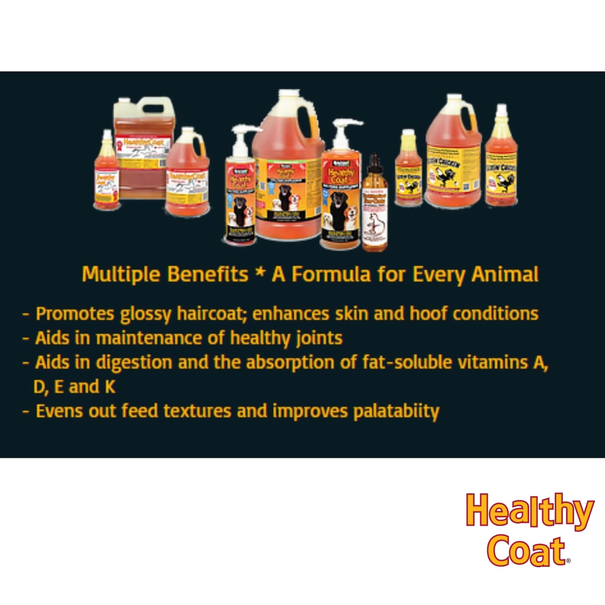 Healthy Coat Kickin: énergie et performance accrues en pâturage