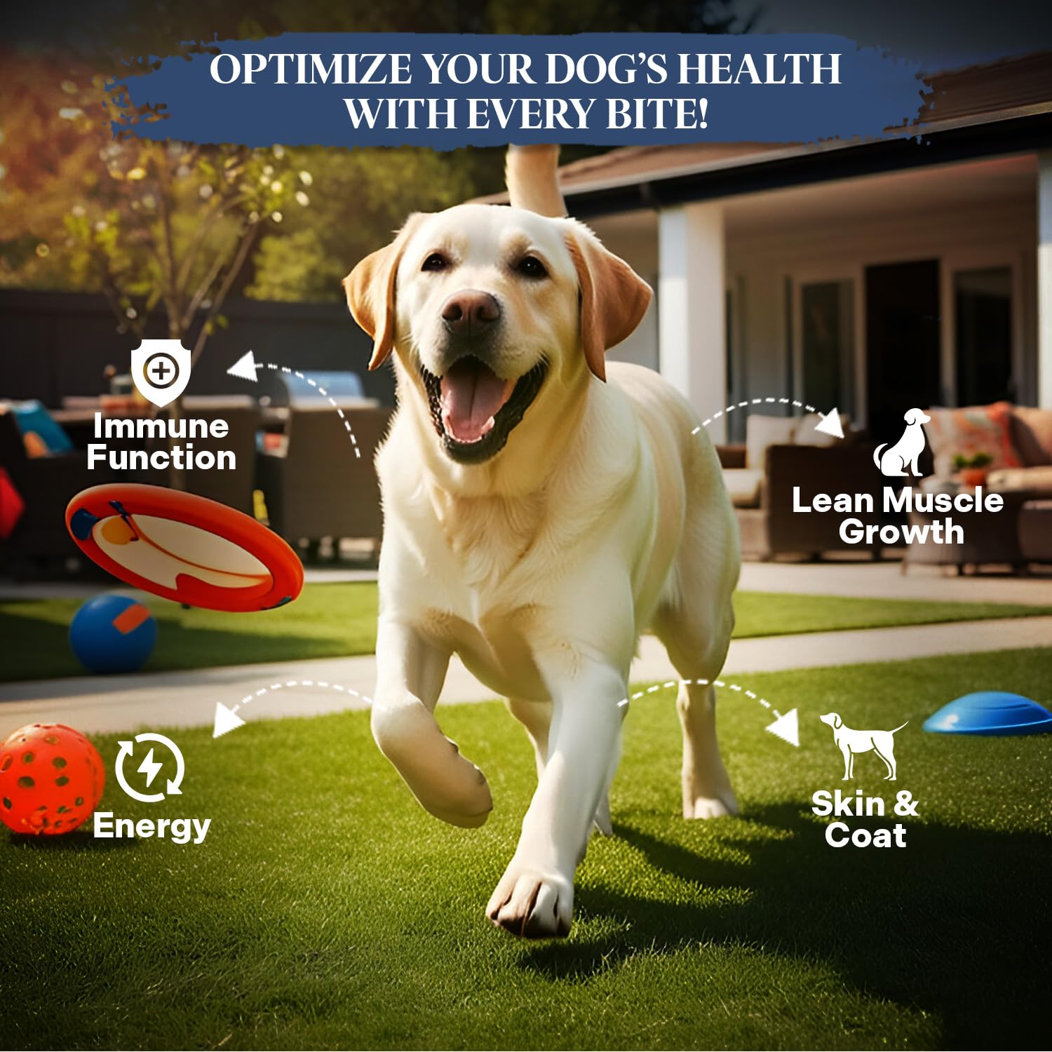 Healthy Dogma PetMix avec eau chaude, réhydratation simple et repas complet.