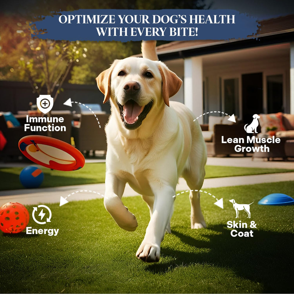 Healthy Dogma PetMix avec eau chaude, réhydratation simple et repas complet.