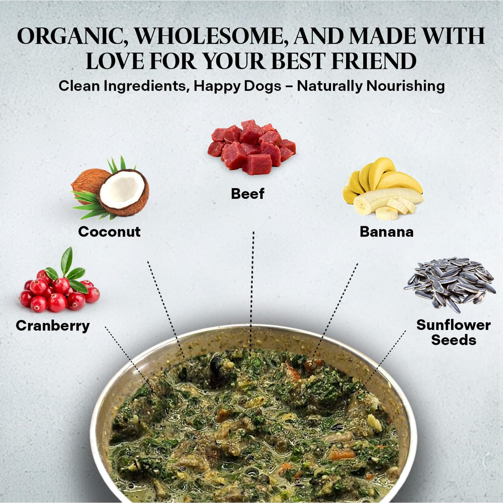 Healthy Dogma PetMix ingrédients propres et sans conservateurs visibles.