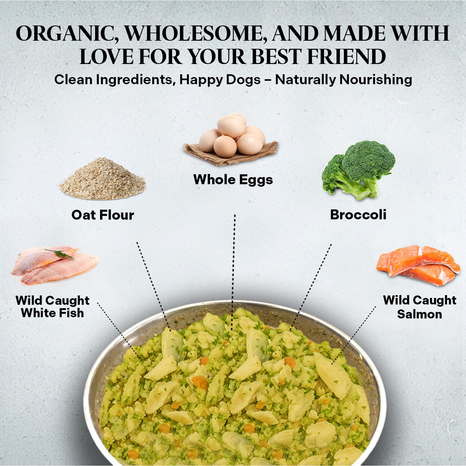 Healthy Dogma PetMix Œufs Entiers Brocoli Carottes Pommes: ingrédients naturels pour immunité et digestion.