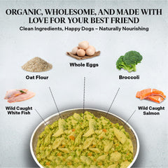 Healthy Dogma PetMix Œufs Entiers Brocoli Carottes Pommes: ingrédients naturels pour immunité et digestion.