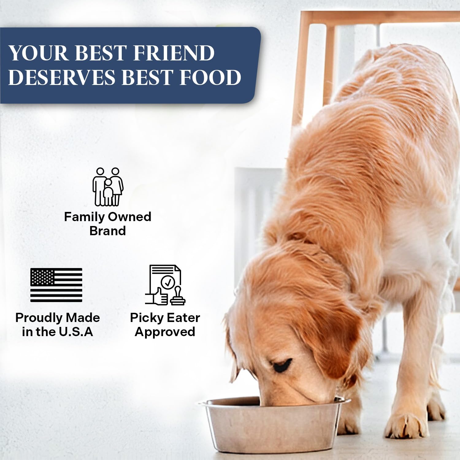 Healthy Dogma PetMix préparation rapide: versez, ajoutez eau, servez.