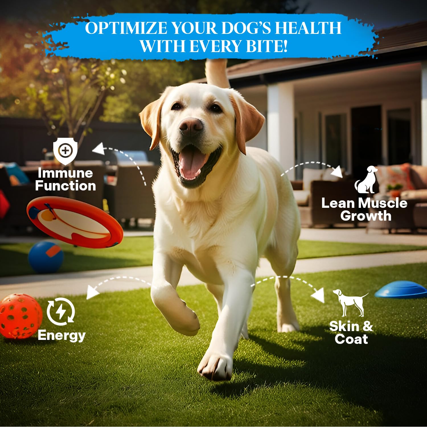 Healthy Dogma PetMix Saumon Alaska Sauvage: source de protéines et acides gras oméga essentiels.
