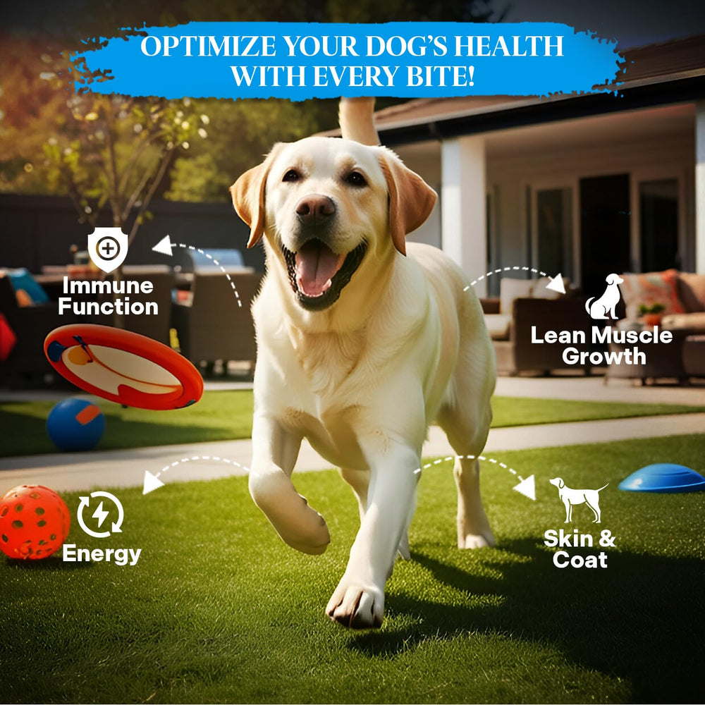 Healthy Dogma PetMix Saumon Alaska Sauvage: source de protéines et acides gras oméga essentiels.