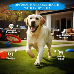 Healthy Dogma PetMix Saumon Alaska Sauvage: source de protéines et acides gras oméga essentiels.