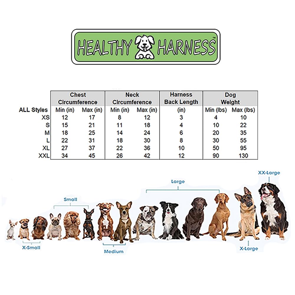 Healthy Harness boucles-acier-haute-resistance, fermeture fiable pendant les sorties et randonnées.