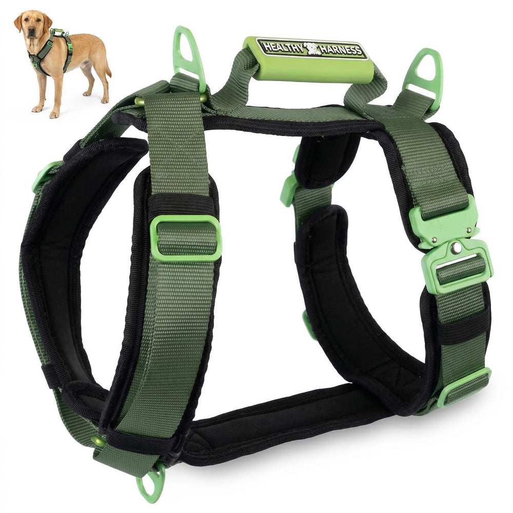 Healthy Harness montre le harnais chien en vue frontale pour un ajustement sûr et confortable.