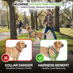 Harnais Healthy Harness vert, vue arrière, distribution des charges efficace pour les chiens forts.