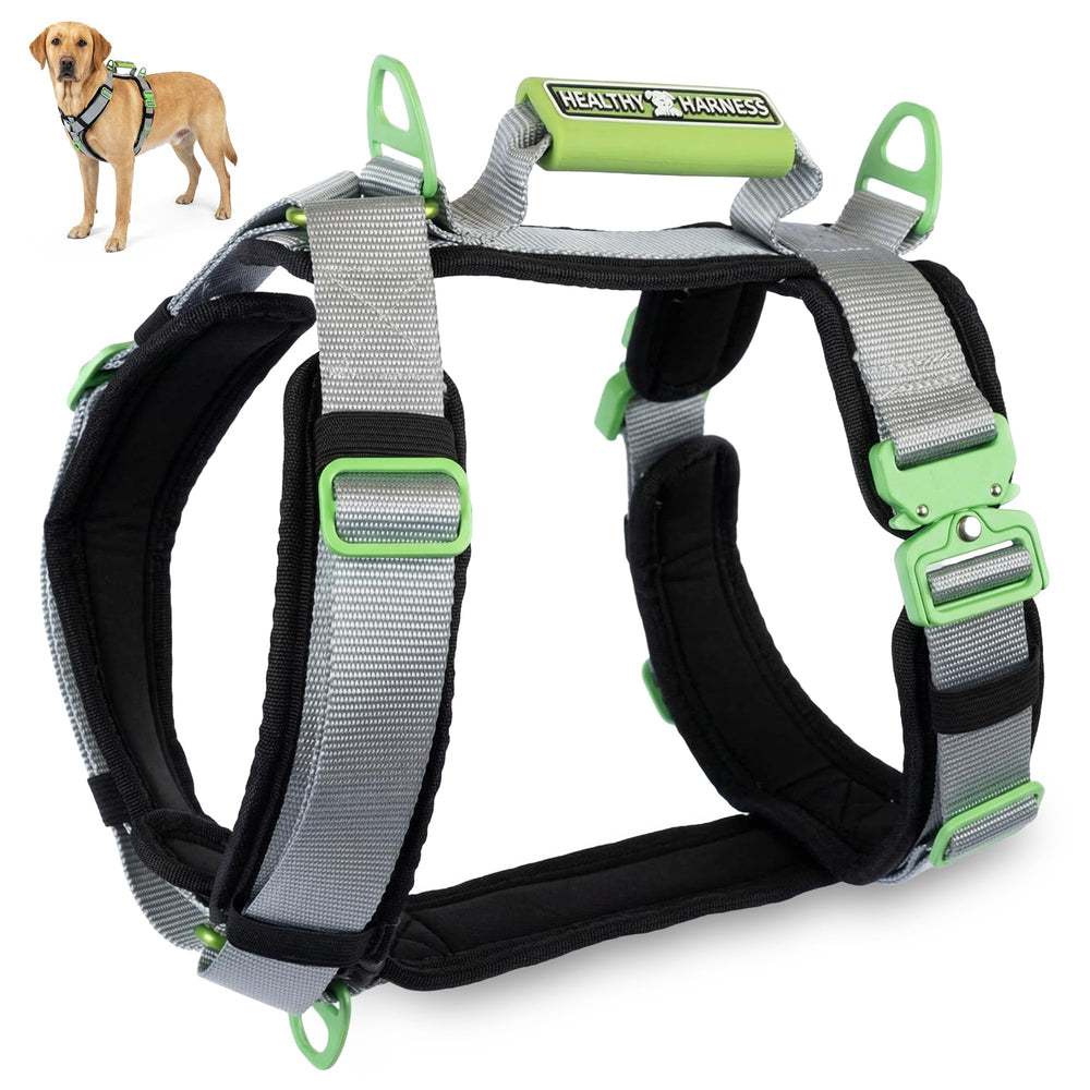 Harnais Healthy Harness aperçu avant, contrôle renforcé lors des promenades urbaines.