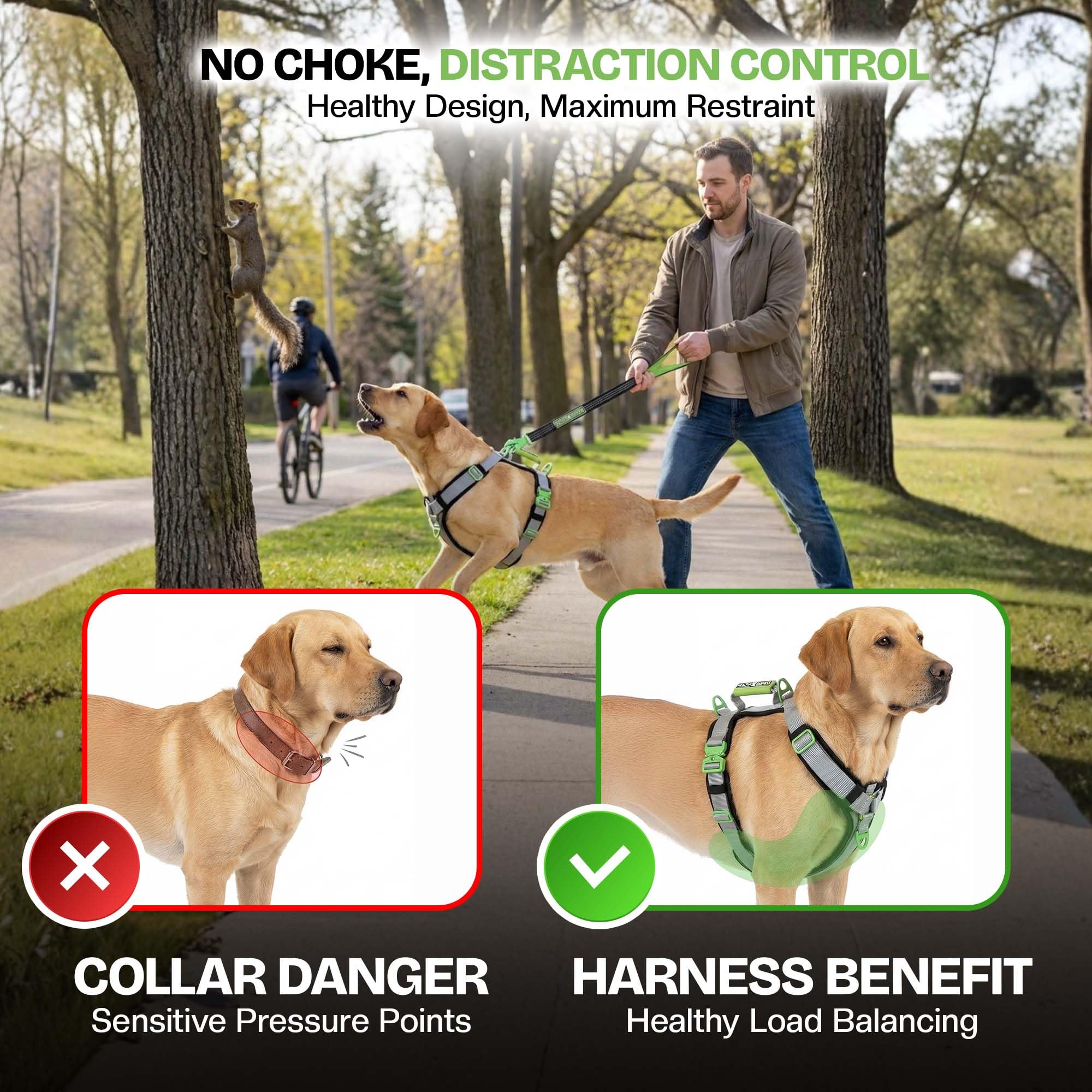 Healthy Harness poignee-urgence-harnais, prise en main sûre dans les zones fréquentées.