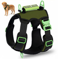 Healthy Harness Supreme Sport harnais vert avant avec contrôle sécurisé