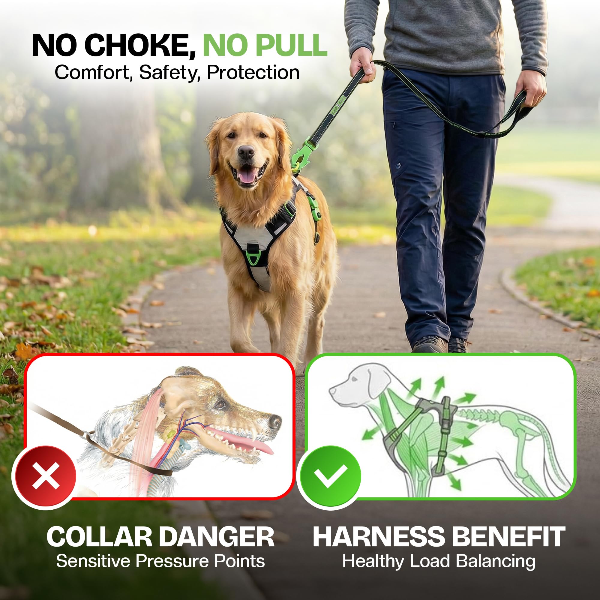 Healthy Harness Supreme Sport poignée d’urgence pour sécurité accrue