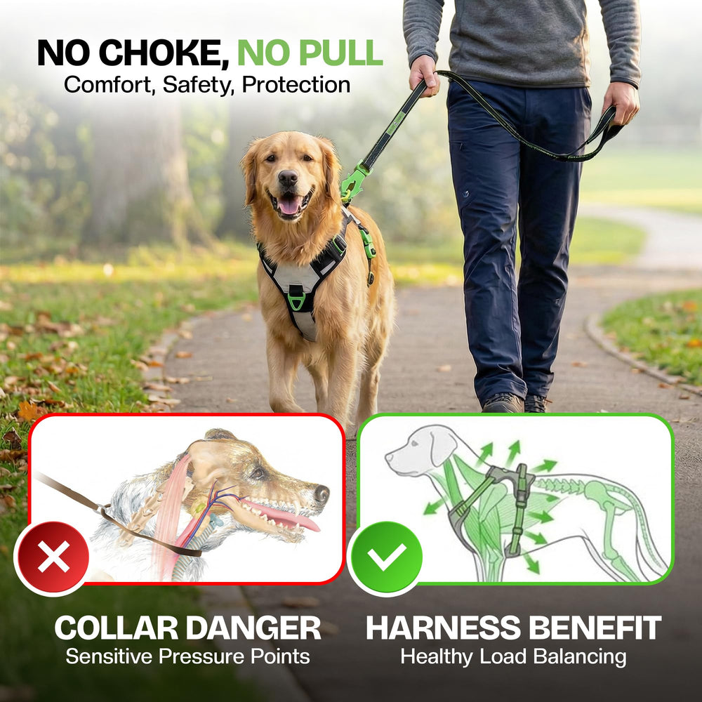 Healthy Harness Supreme Sport poignée d’urgence pour sécurité accrue