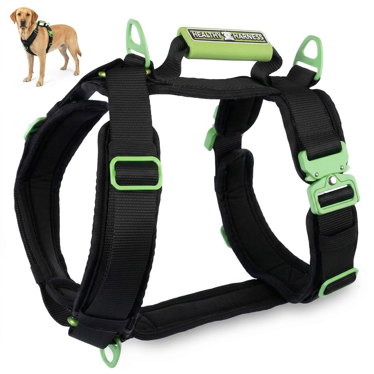Healthy Harness Ultimate Urban harnais-avant : contrôle facile dès la mise en place pour vos balades.