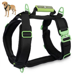 Healthy Harness Ultimate Urban harnais-avant : contrôle facile dès la mise en place pour vos balades.