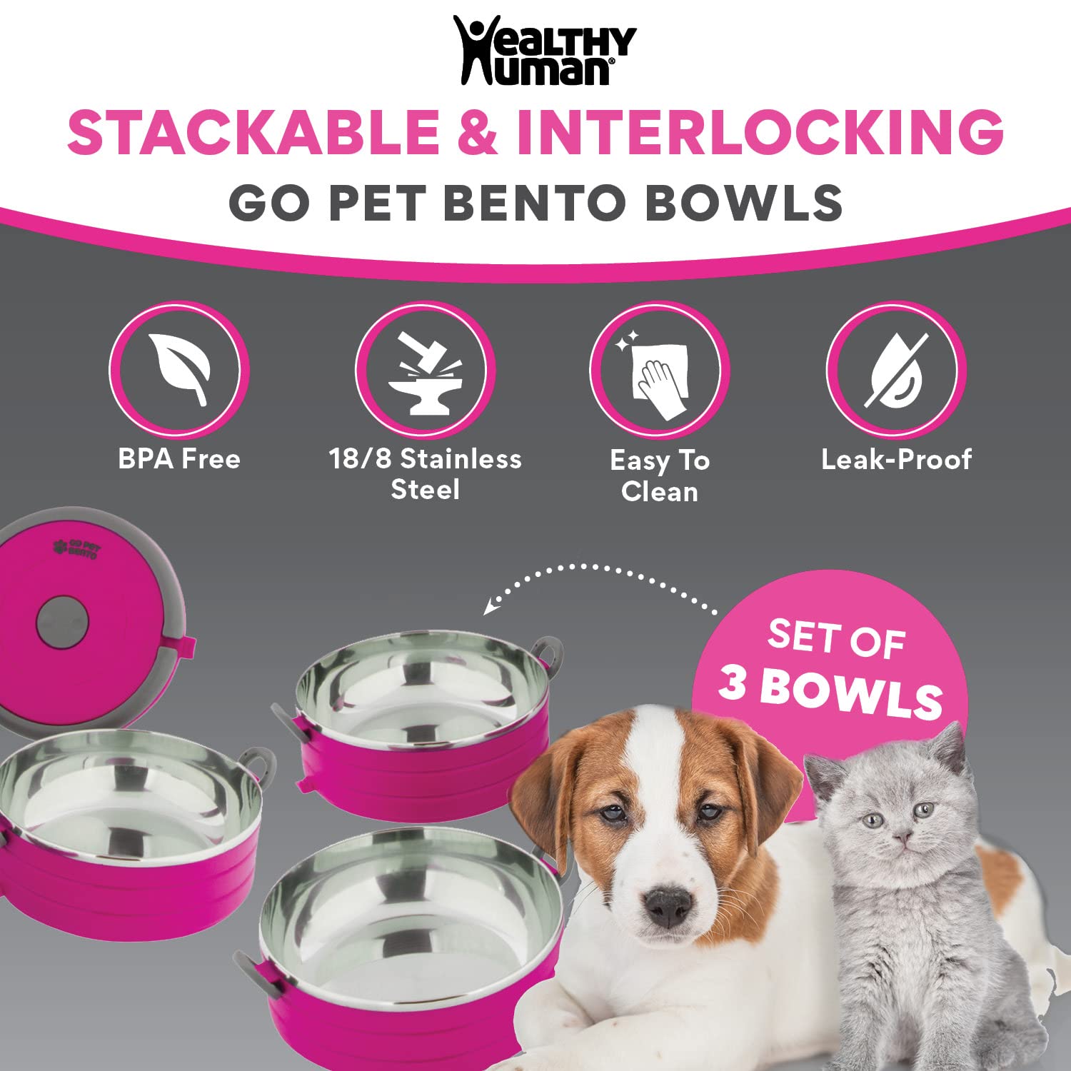 Healthy Human Go Pet Bento acier inox 18/8 sans BPA, sécurité alimentaire.