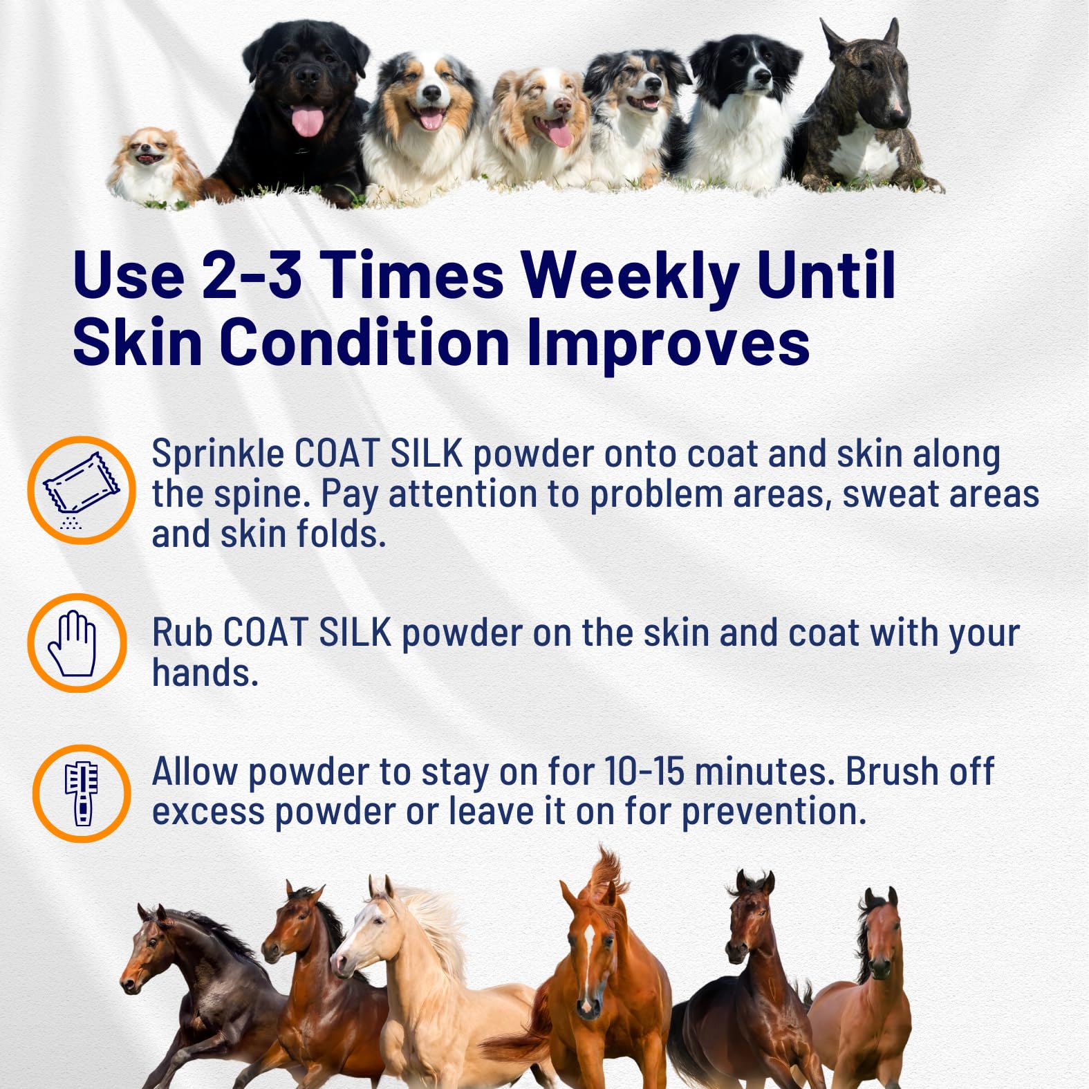 Coat Silk utilisation canine : chien en routine de toilettage après application.