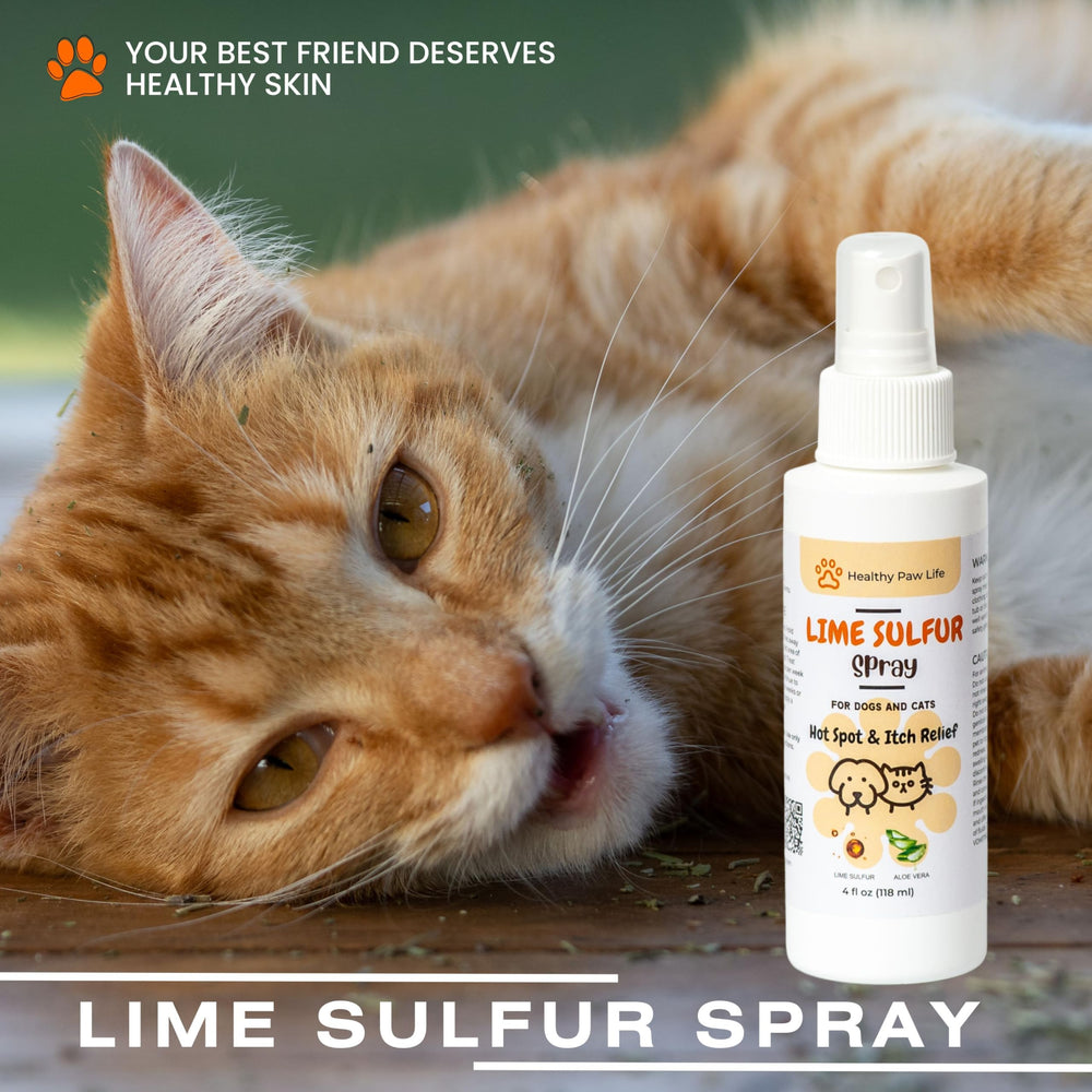 Texture douce de la crème sulfure chaux Healthy Paw Life – soin hydratant.