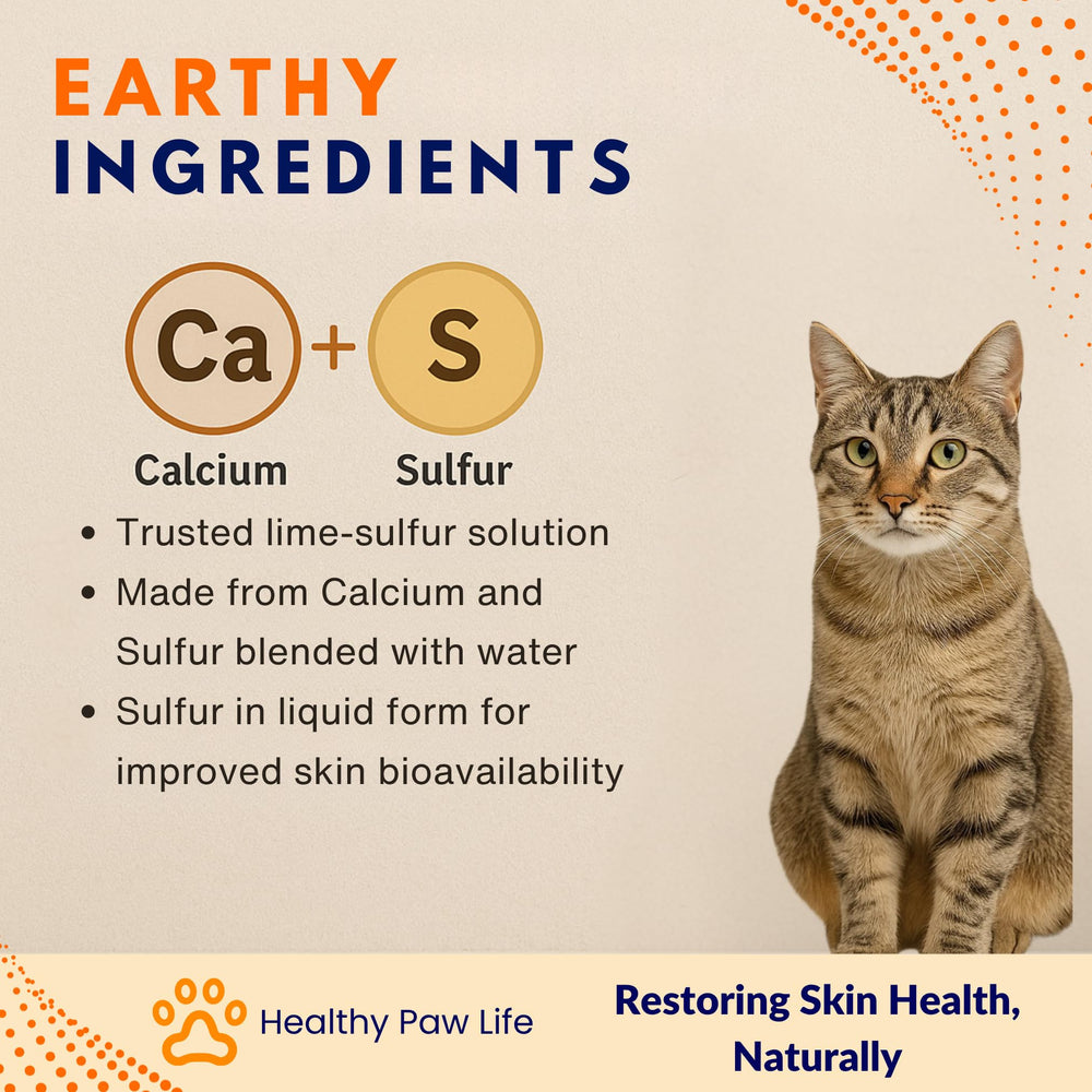 Healthy Paw Life Dip au soufre lime – application sur le pelage facilitée.