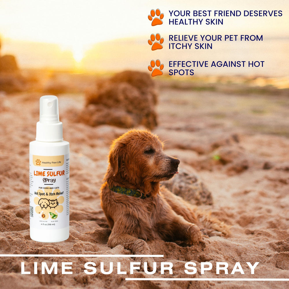 Spray sulfure chaux Healthy Paw Life – utilisation pratique et hydratante.