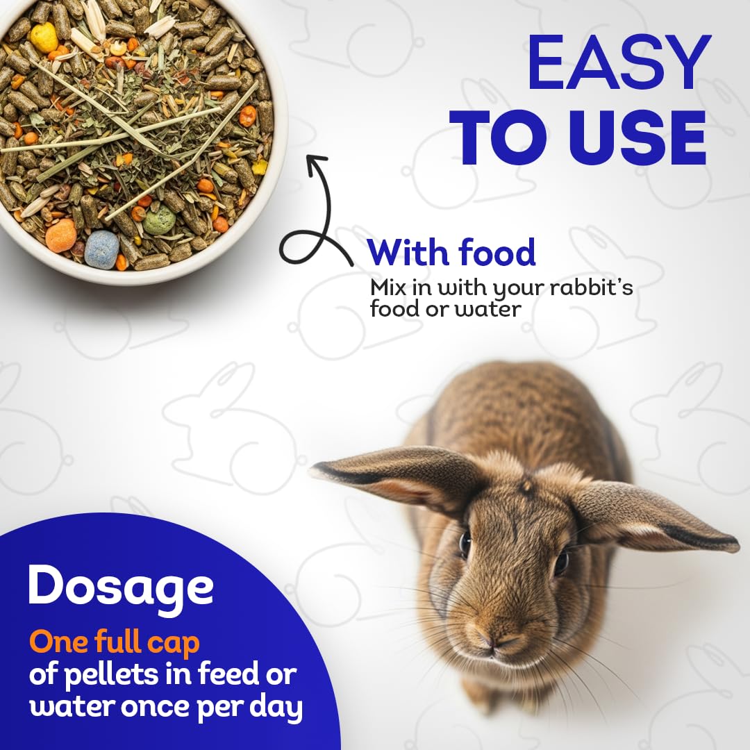 HA4E HealthyAnimals4Ever - prévention respiratoire pour lapin.