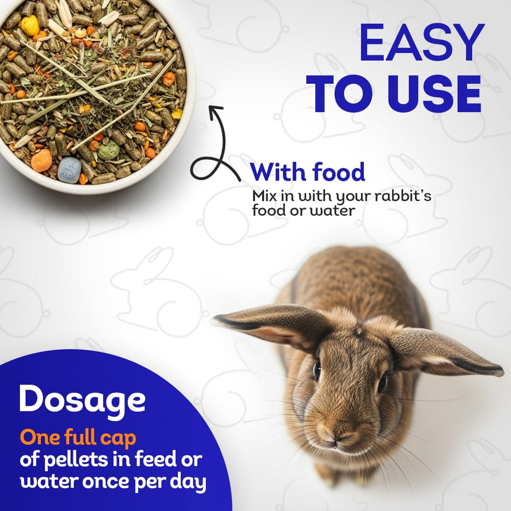 HA4E HealthyAnimals4Ever - prévention respiratoire pour lapin.