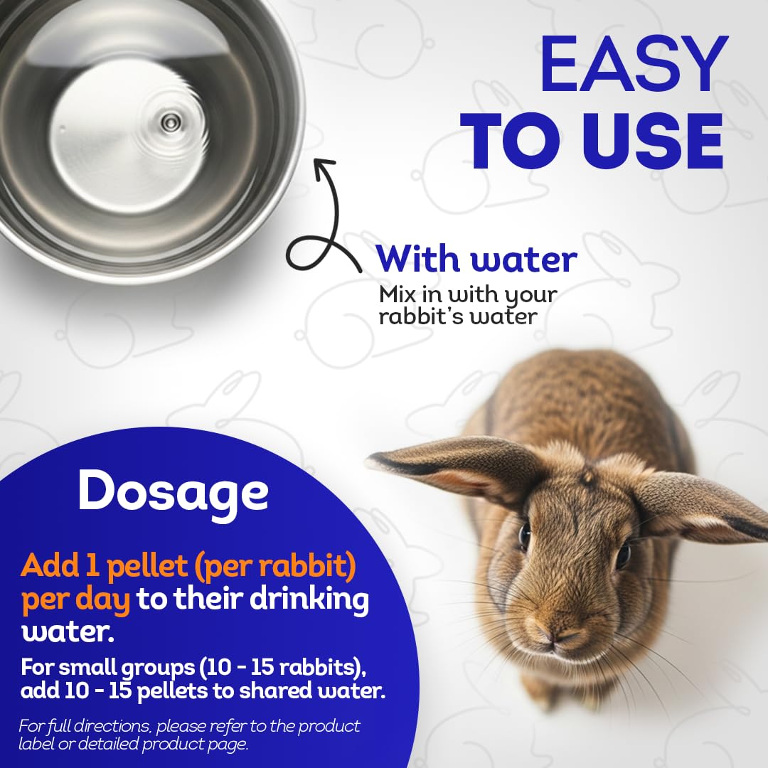 HealthyAnimals4Ever lapin-prevention-stase-gastro: scène domestique évoquant le soin préventif.