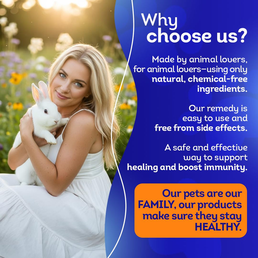 HealthyAnimals4Ever lapin-digestion-domestique: image chaleureuse montrant le soin digestif.