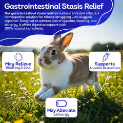 HealthyAnimals4Ever tablettes-digestives-usage-nourriture-eau: démonstration d utilisation pratique.