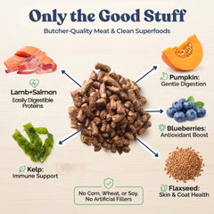 Healthybud digestions saines grâce a des bouchées faciles a digerer