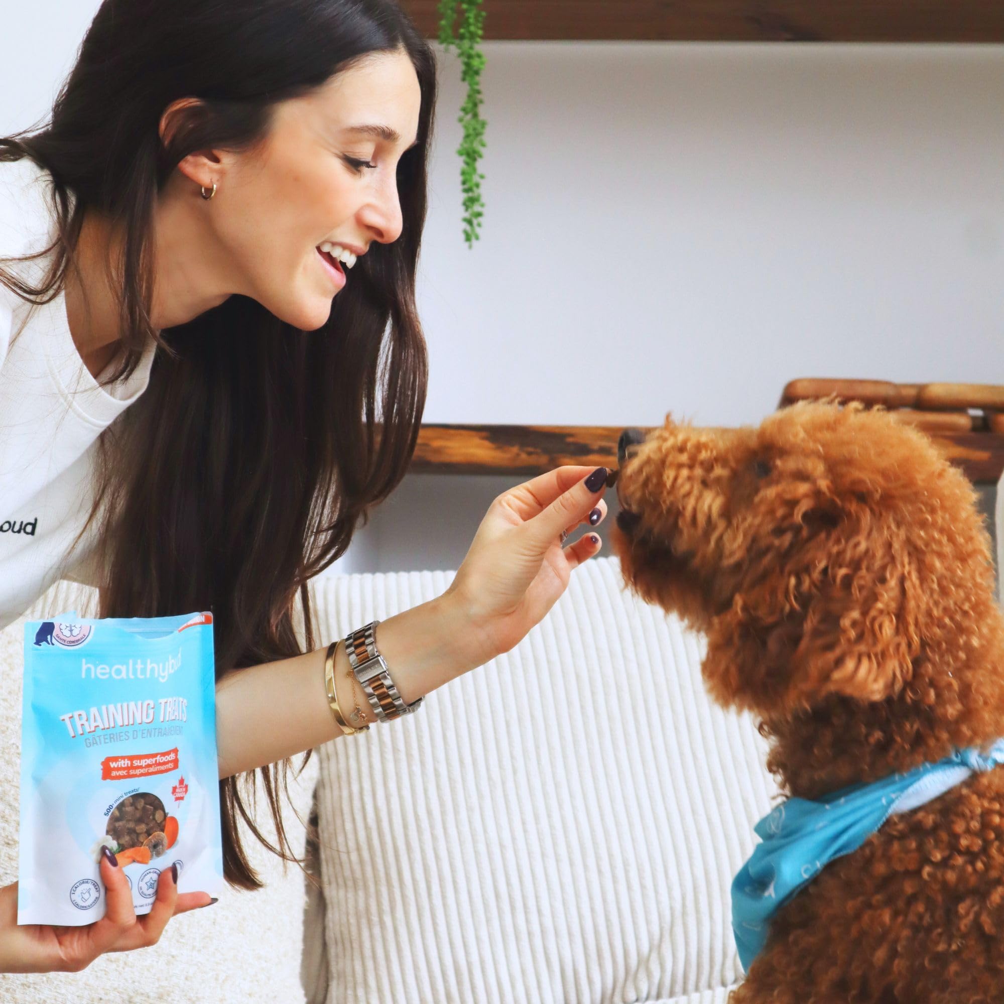 healthybud fabriqué au Canada, traçabilité et qualité pour les compagnons.