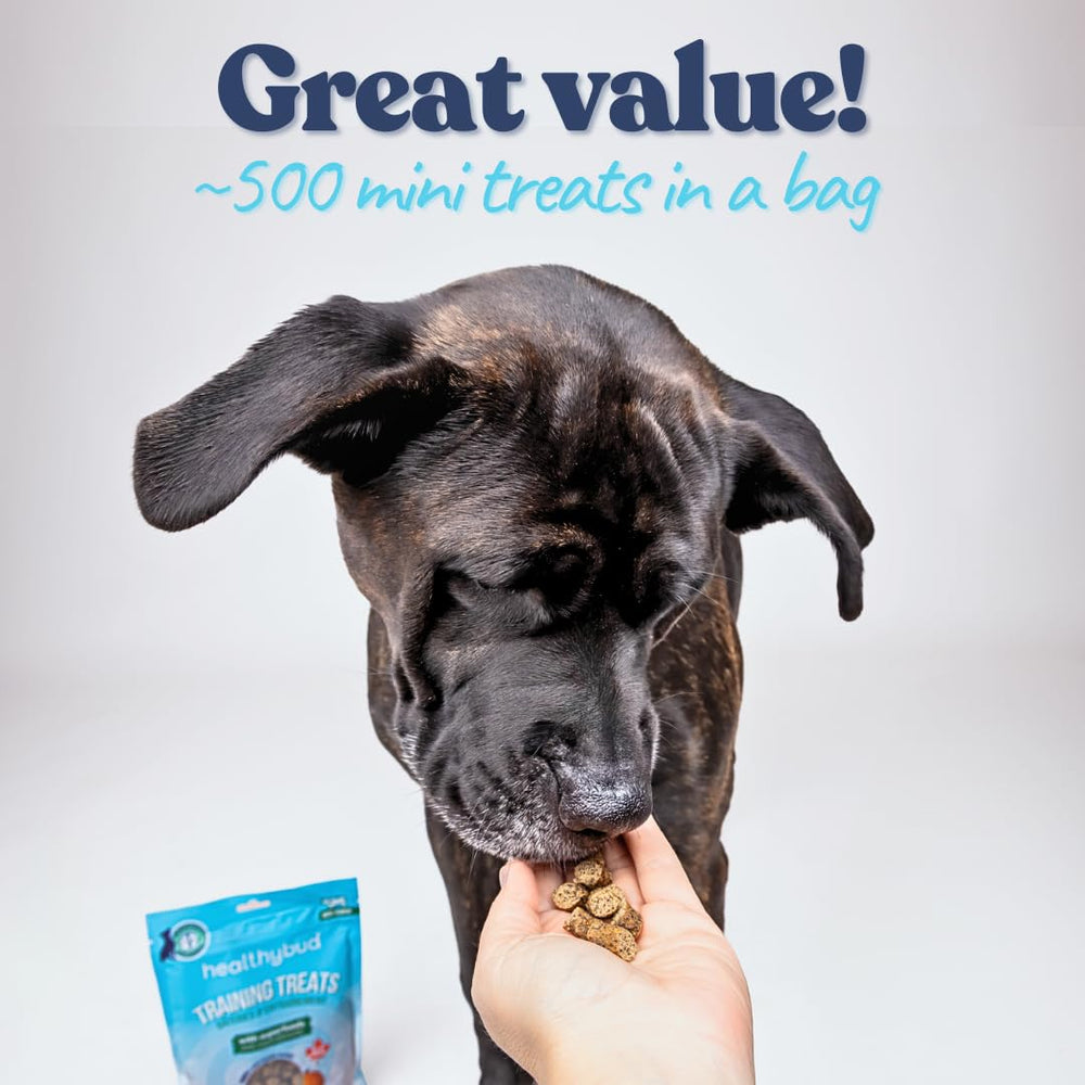 healthybud huile de saumon, omega-3 pour le bien-être quotidien du chien.