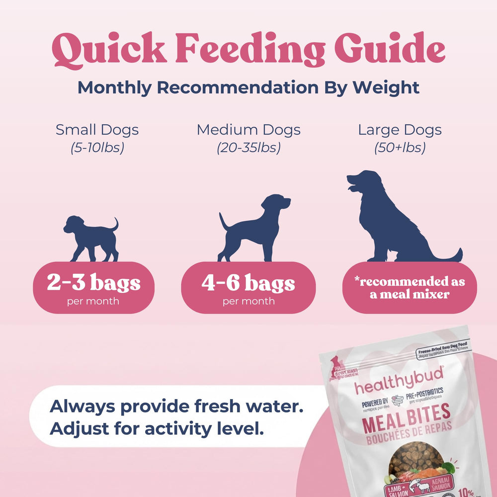 Healthybud convient a tous les chiens et tailles